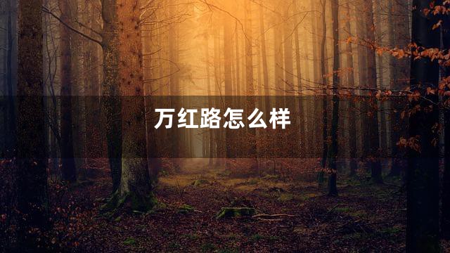 万红路怎么样