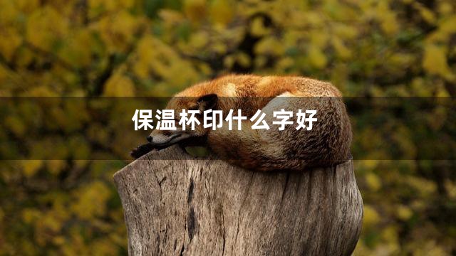 保温杯印什么字好