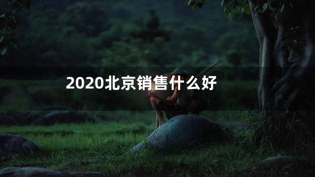2020北京销售什么好