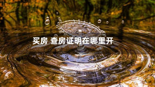 买房 查房证明在哪里开