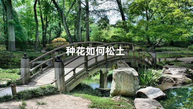 种花如何松土