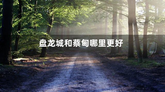 盘龙城和蔡甸哪里更好