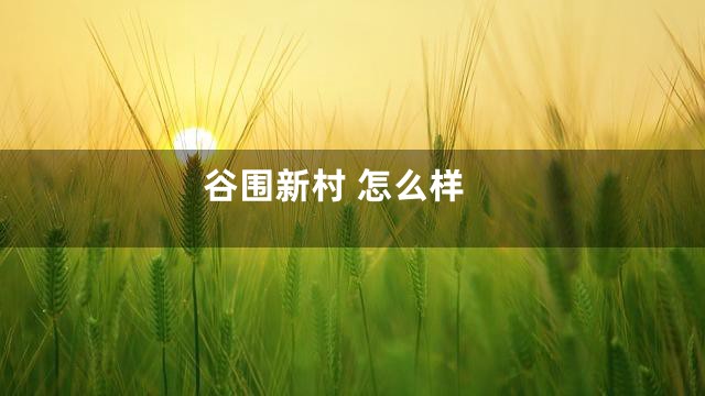 谷围新村 怎么样