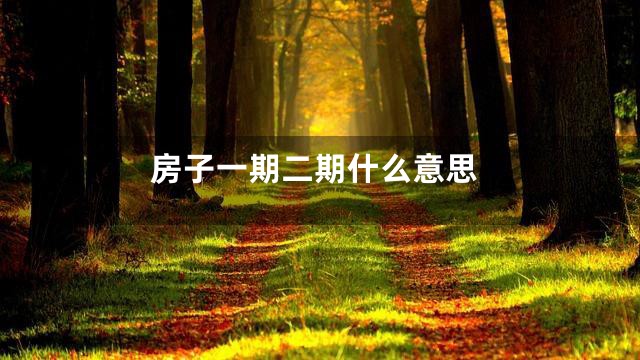 房子一期二期什么意思