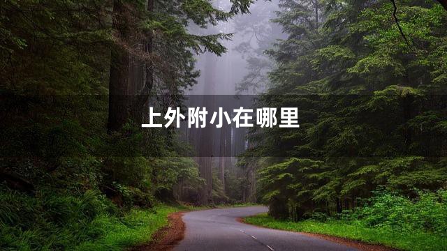 上外附小在哪里