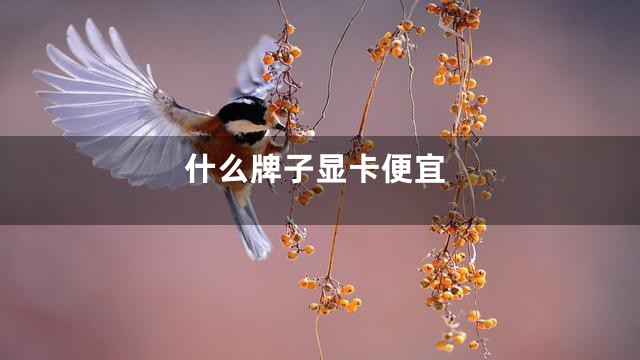 什么牌子显卡便宜