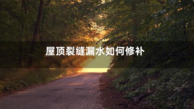 屋顶裂缝漏水如何修补