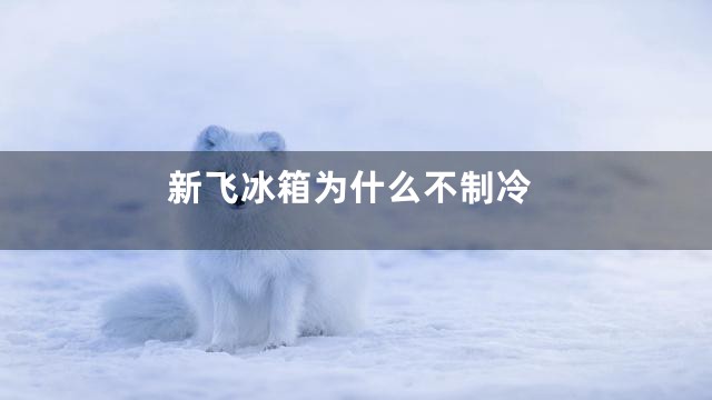 新飞冰箱为什么不制冷