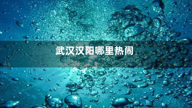 武汉汉阳哪里热闹
