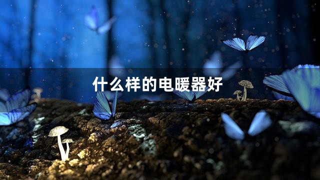 什么样的电暖器好