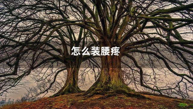 怎么装腰疼