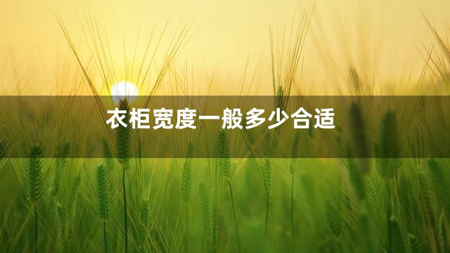 衣柜宽度一般多少合适