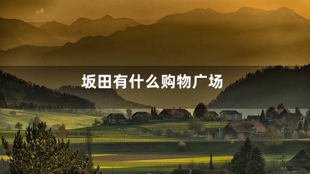 坂田有什么购物广场