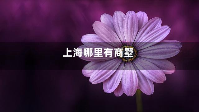 上海哪里有商墅