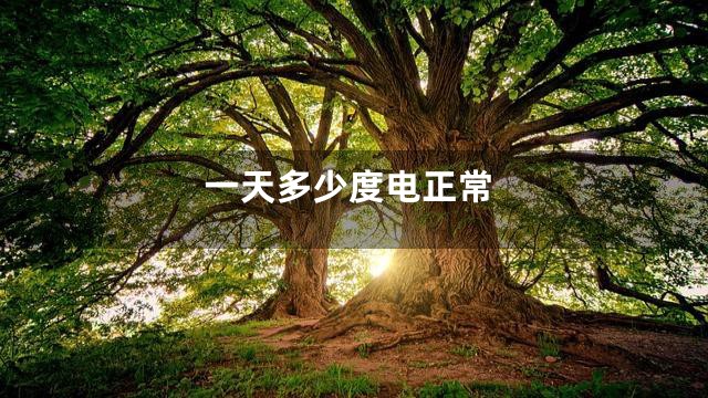 一天多少度电正常