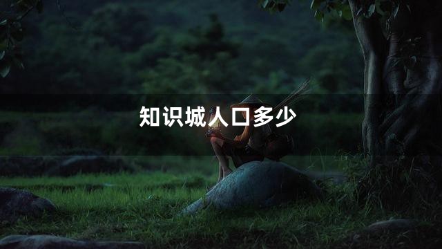 知识城人口多少