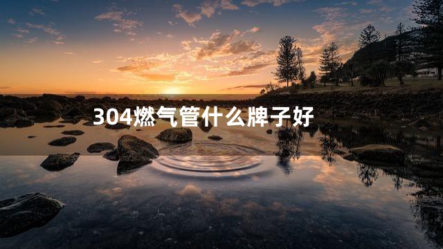 304燃气管什么牌子好