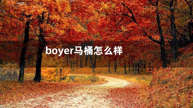 boyer马桶怎么样