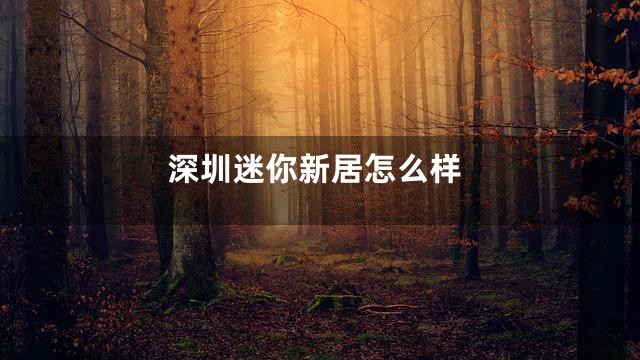 深圳迷你新居怎么样