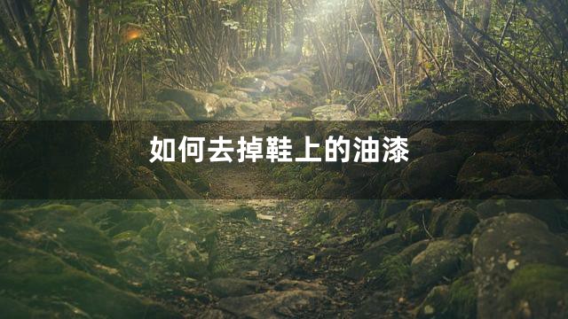 如何去掉鞋上的油漆