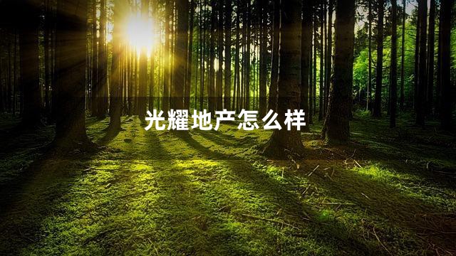 光耀地产怎么样