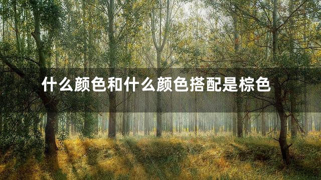 什么颜色和什么颜色搭配是棕色