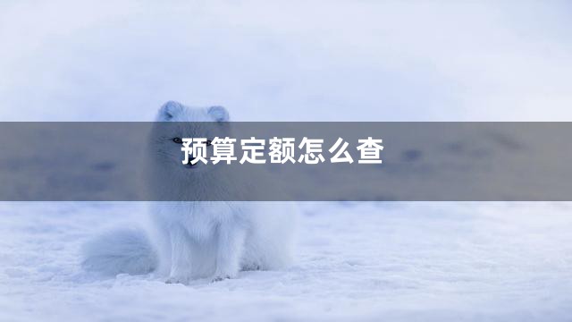 预算定额怎么查