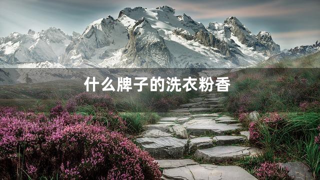 什么牌子的洗衣粉香