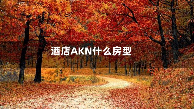 酒店AKN什么房型
