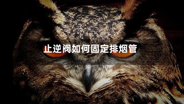 止逆阀如何固定排烟管