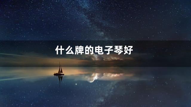 什么牌的电子琴好