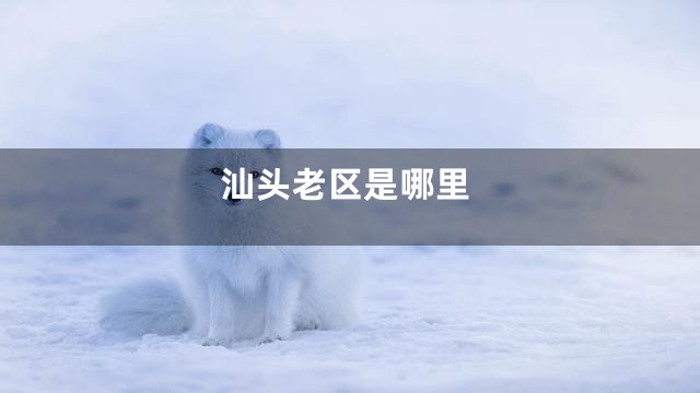 汕头老区是哪里