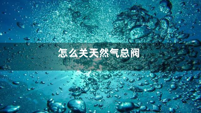 怎么关天然气总阀