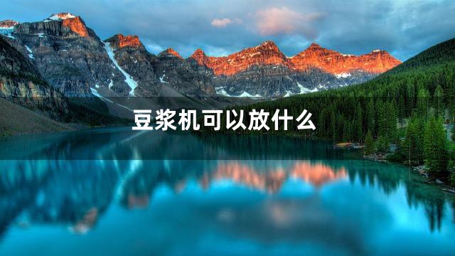 豆浆机可以放什么