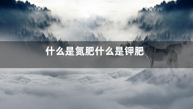 什么是氮肥什么是钾肥