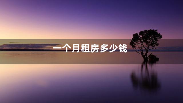 一个月租房多少钱