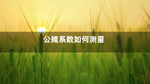 公摊系数如何测量