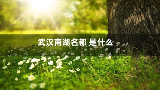 武汉南湖名都 是什么