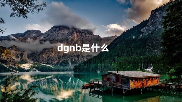 dgnb是什么