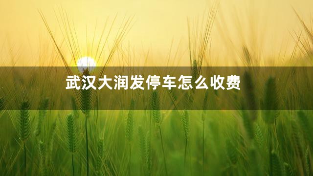 武汉大润发停车怎么收费