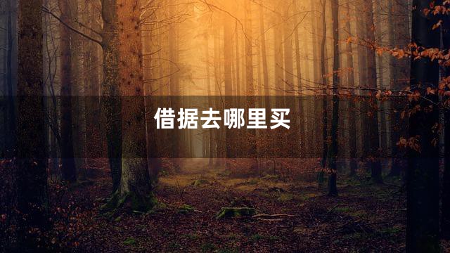 借据去哪里买