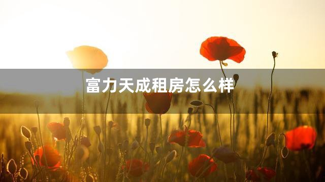 富力天成租房怎么样