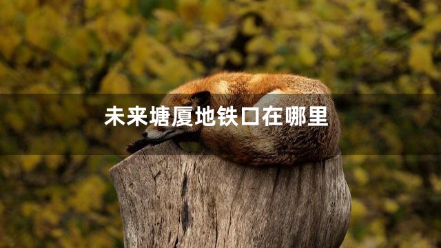 未来塘厦地铁口在哪里