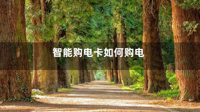 智能购电卡如何购电