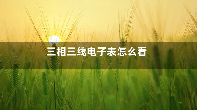 三相三线电子表怎么看