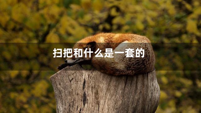 扫把和什么是一套的