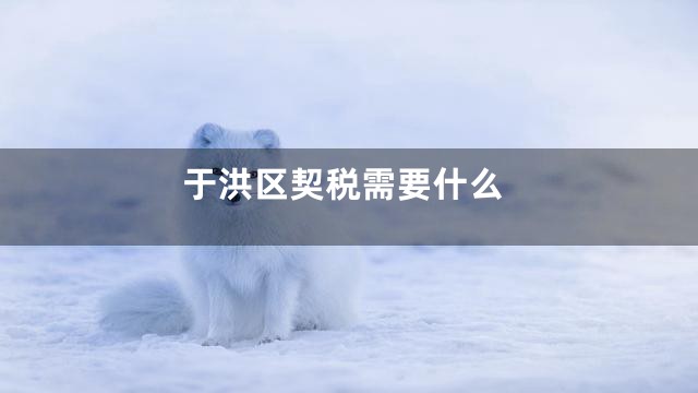 于洪区契税需要什么