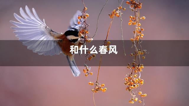 和什么春风