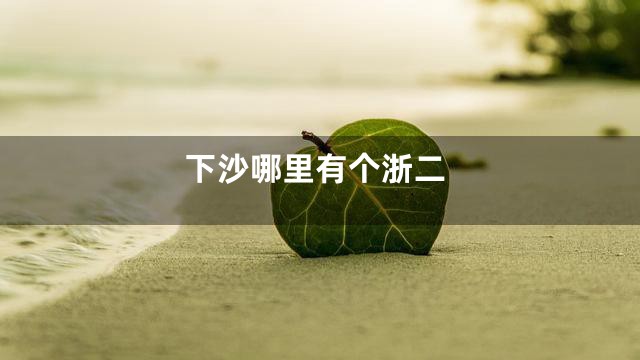 下沙哪里有个浙二