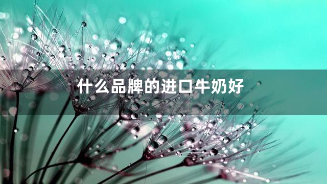 什么品牌的进口牛奶好
